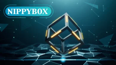 nippybox: What It Is, How It Works, and Why People Use It