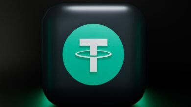 What Is tex9.net? Everything You Need to Know About This Mysterious Website