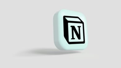 numberlina.com General Overview: What You Need to Know Before Using the Site