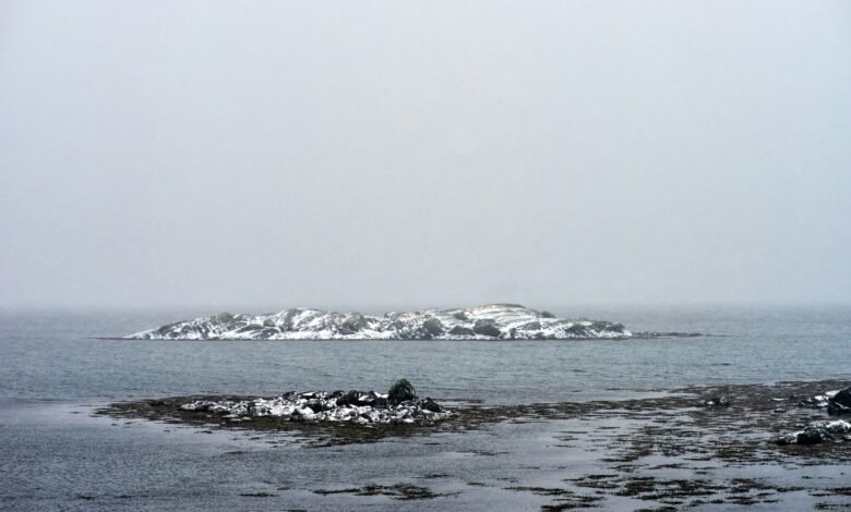 Aurö: From Viking Roots to Environmental Research Leadership