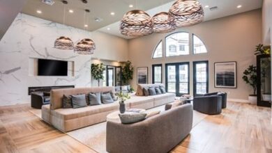 East Bay Living with Pets Discover Fremont’s Most Welcoming Apartments