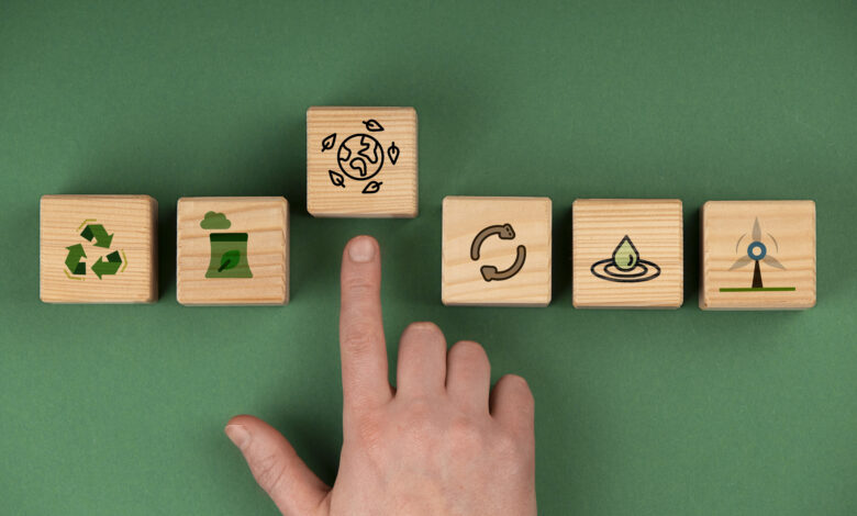 Pappedeckel Meaning, History, Uses, and Eco-Friendly Impact