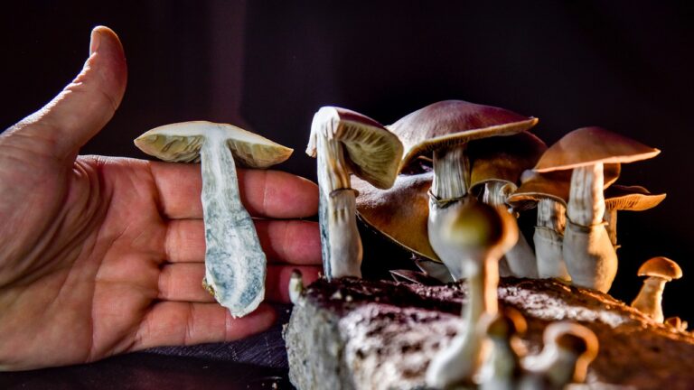 Top Benefits of Microdosing Magic Mushrooms for Mind and Body