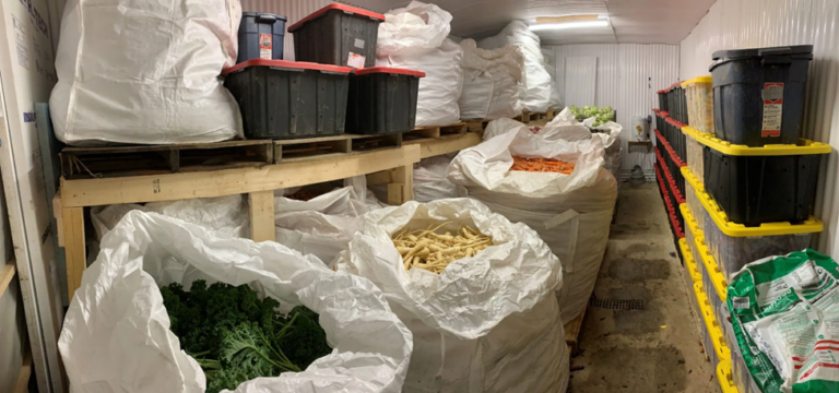 Designing Fertilizer Packaging for India’s Geographies